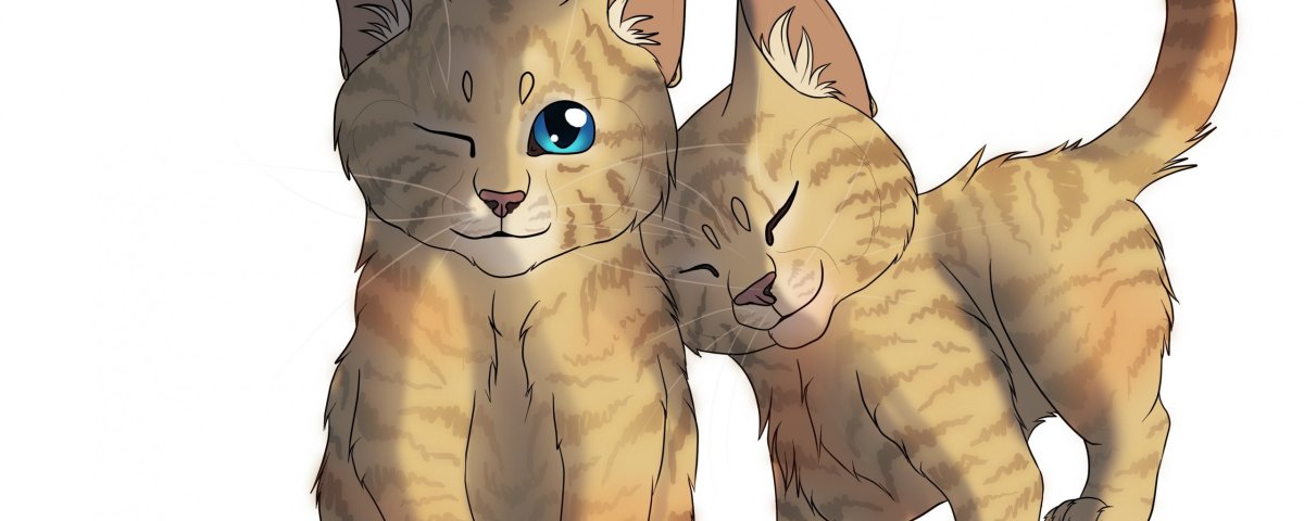 Оливер котенок белом фоне