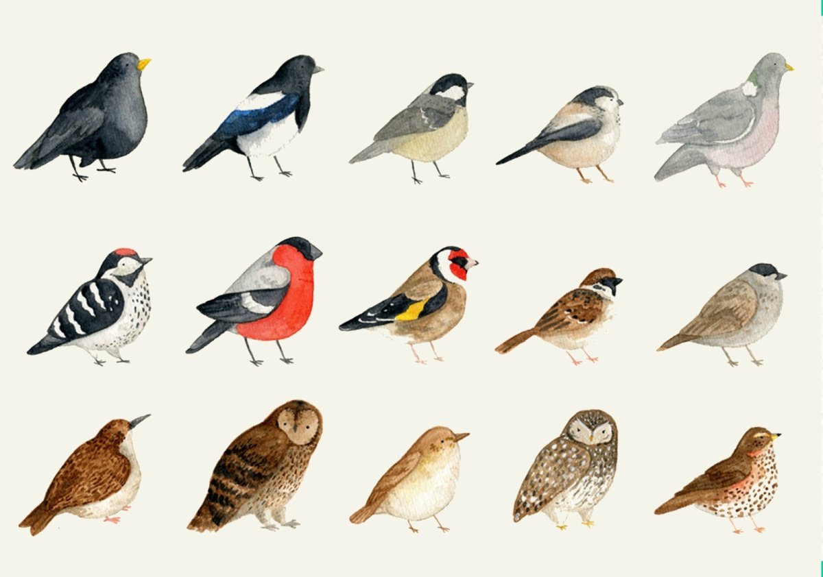 Городские маленькие птицы