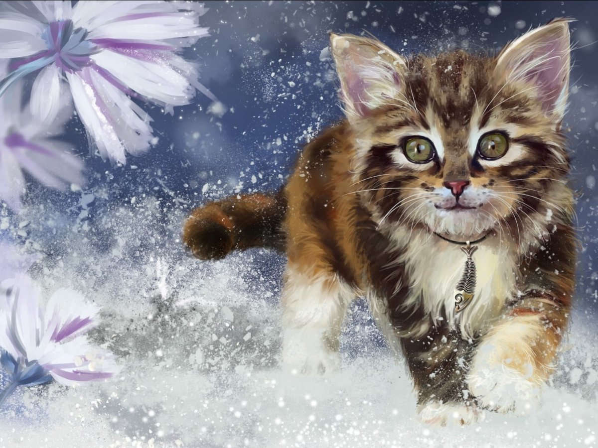 Котята зимой