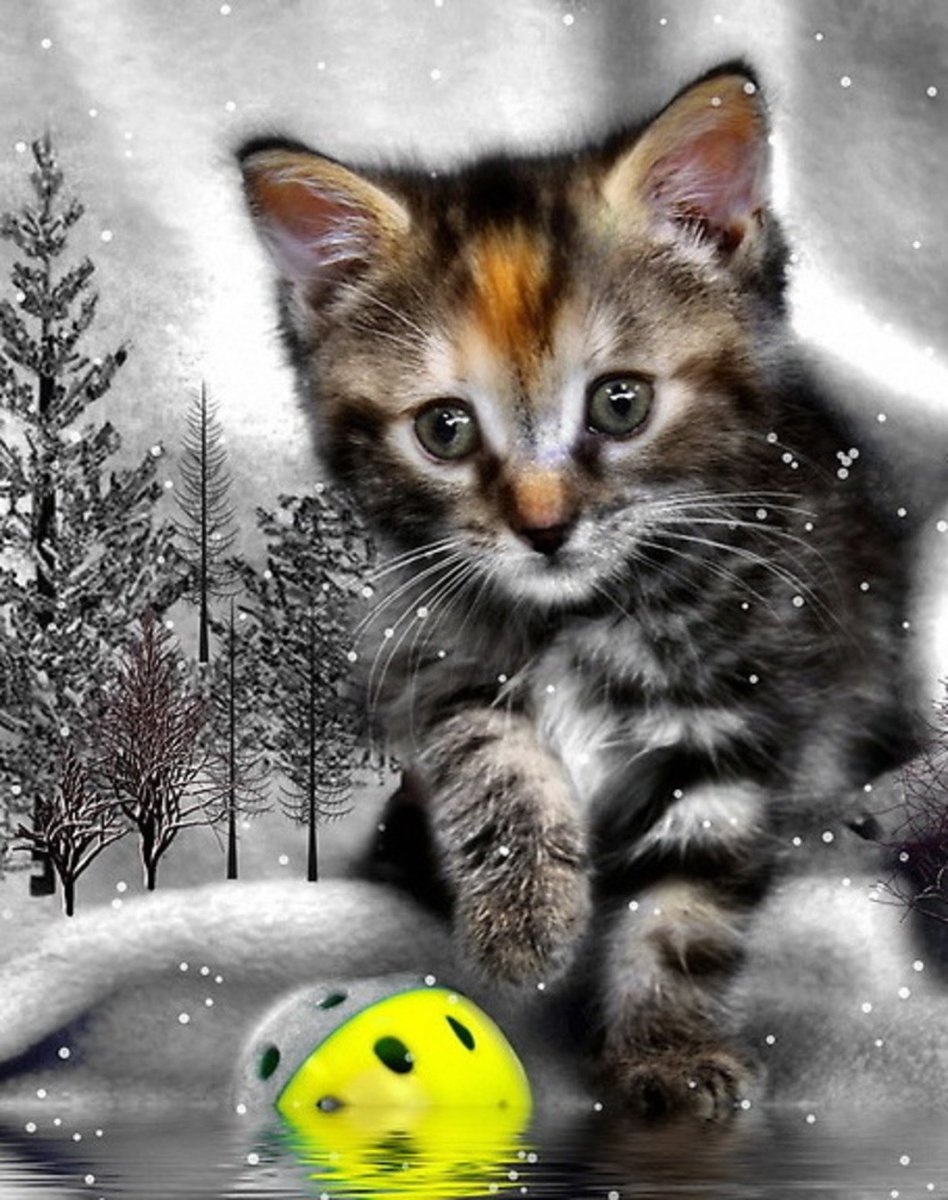 Анимационные котята