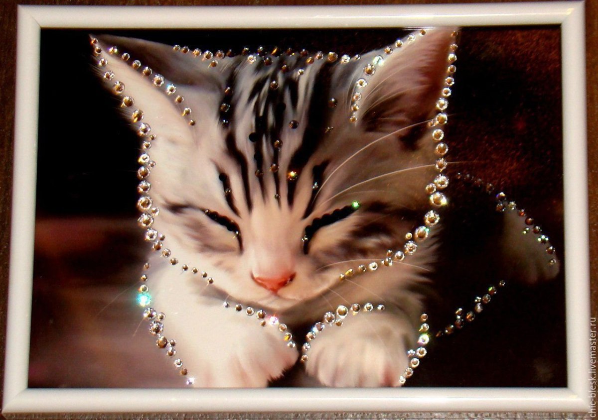 Коты стразами