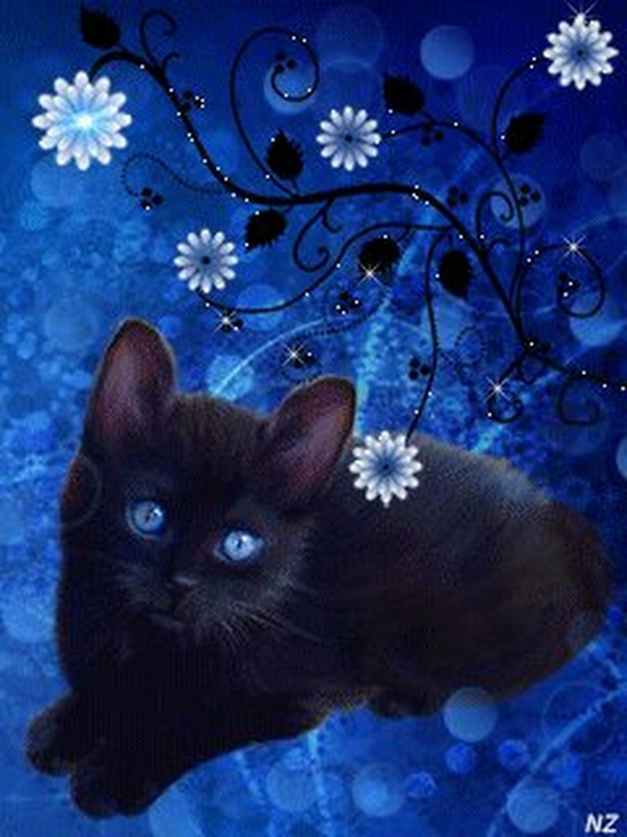 Кошка бесплатная живая. Красивые котята. Мигающие котята. Котик на синем фоне. Живые котики.