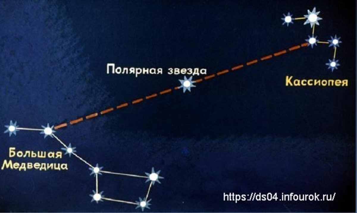 Созвездие полярной звезды медведицы и Кассиопеи