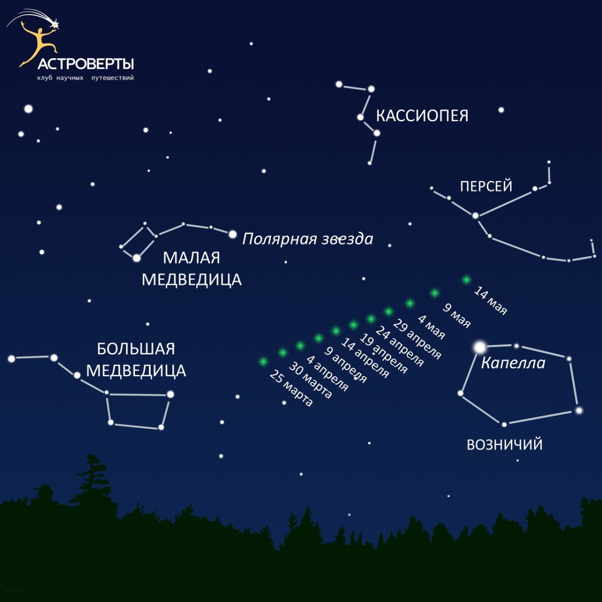 Созвездия рядом с большой медведицей