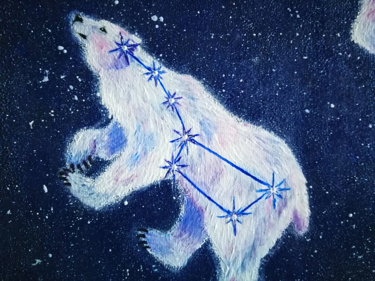 Созвездие белой медведицы большой медведицы большой медведицы