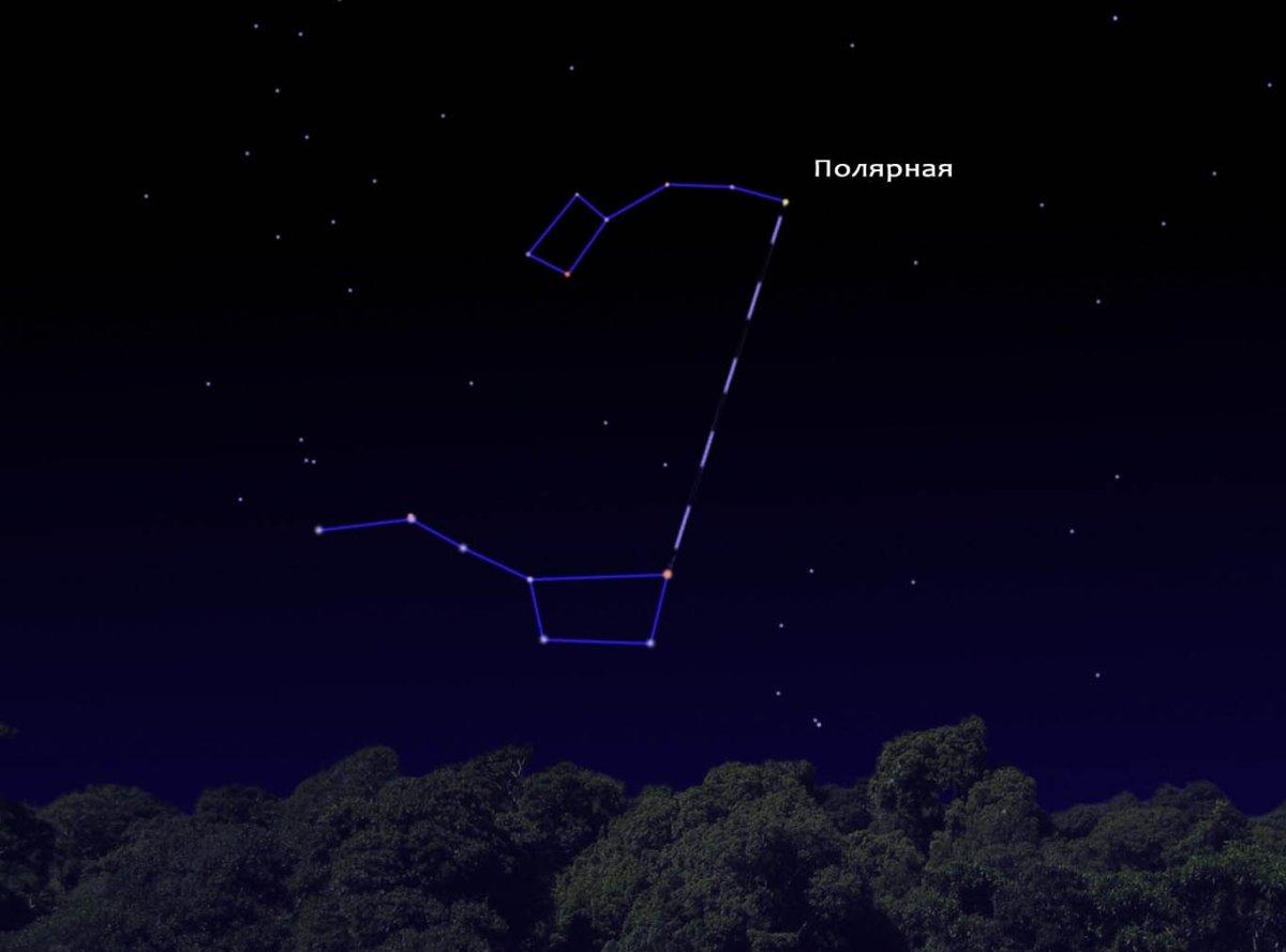 Ковш большая Медведица Полярная звезда