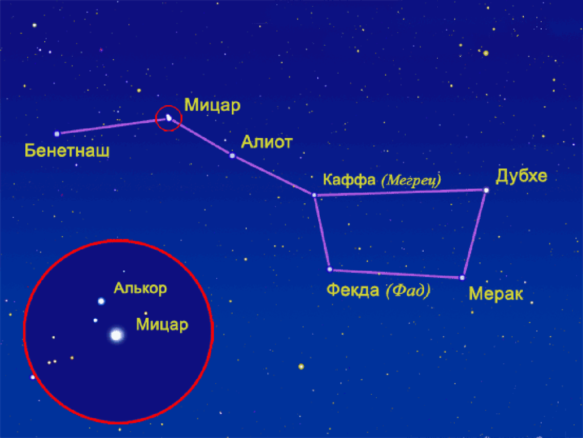Большая Медведица название звезд на схеме
