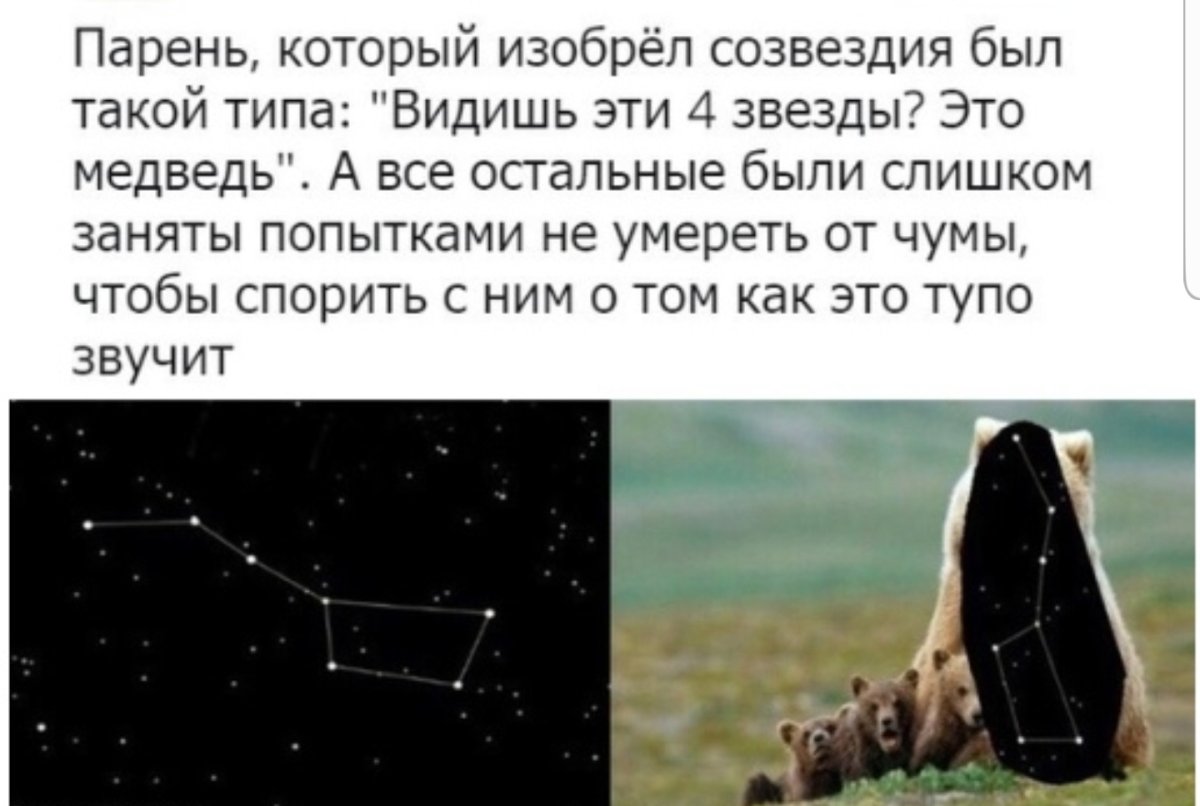 Анекдот про мужика и медведицу