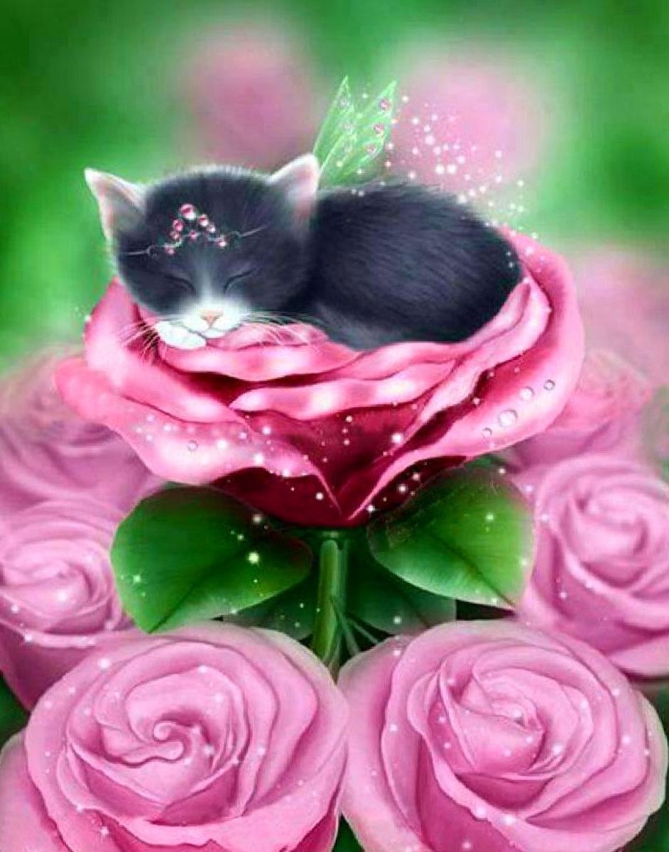 Котенок с розочкой