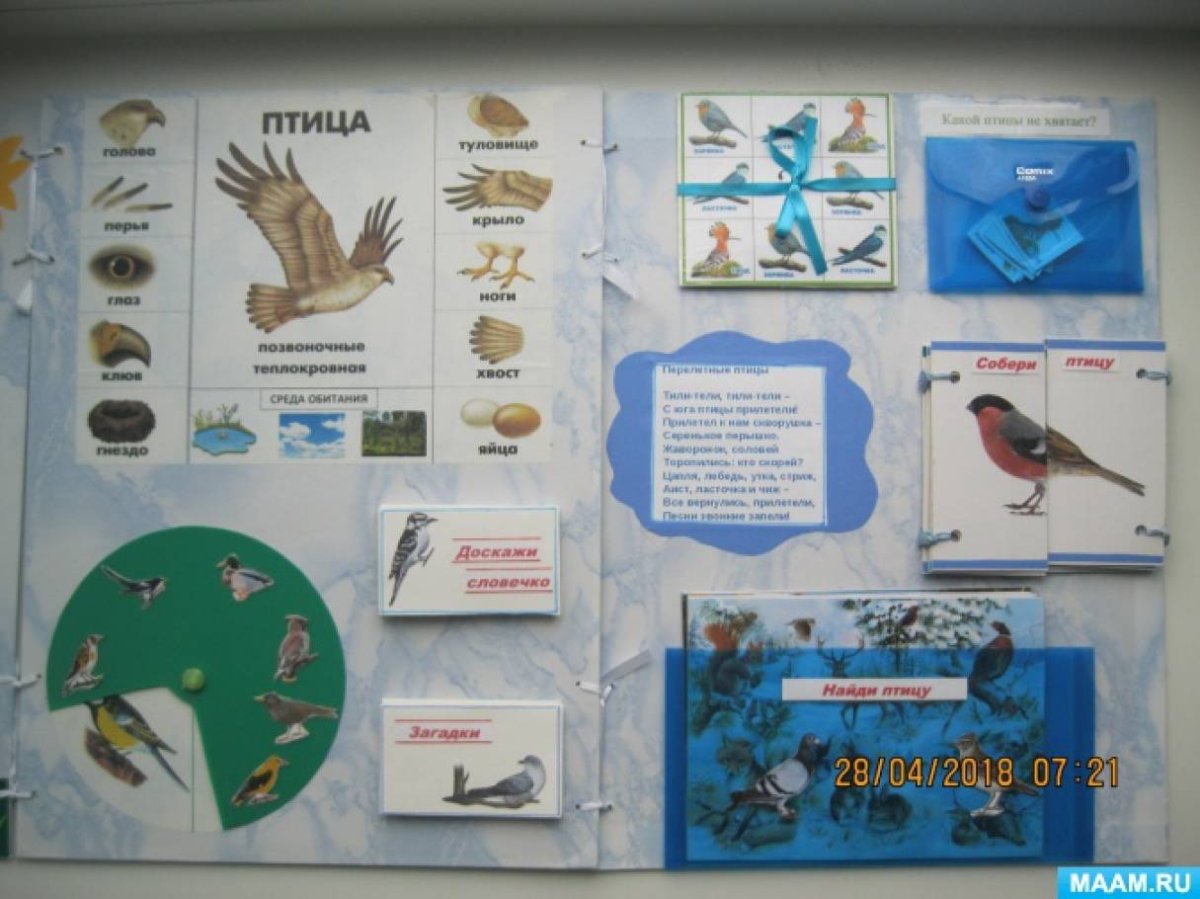 Зимующие птицы для лэпбука