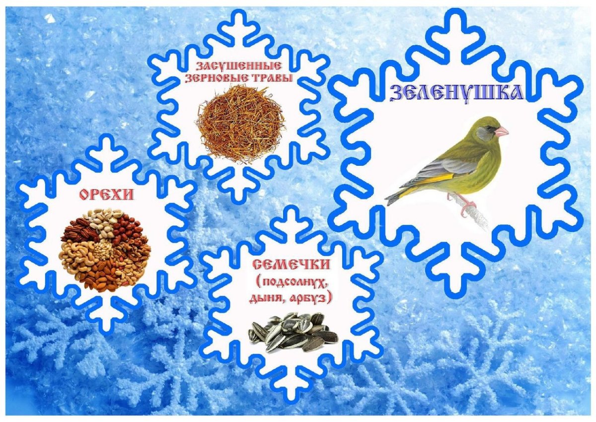 Карточки корм для птиц