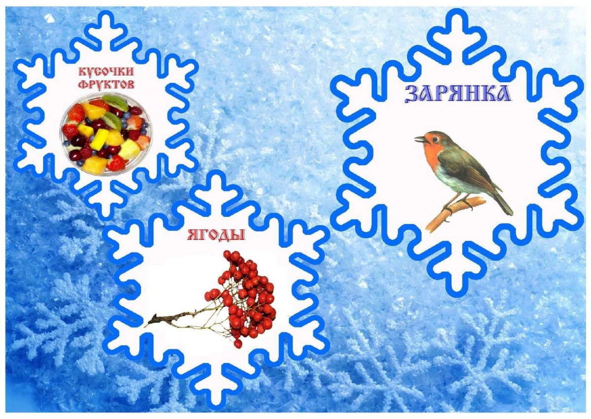 Папка зимующие птицы детям