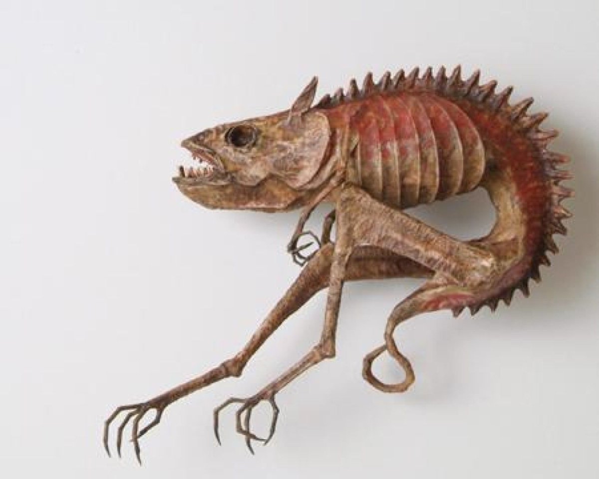 Музей фантастических существ