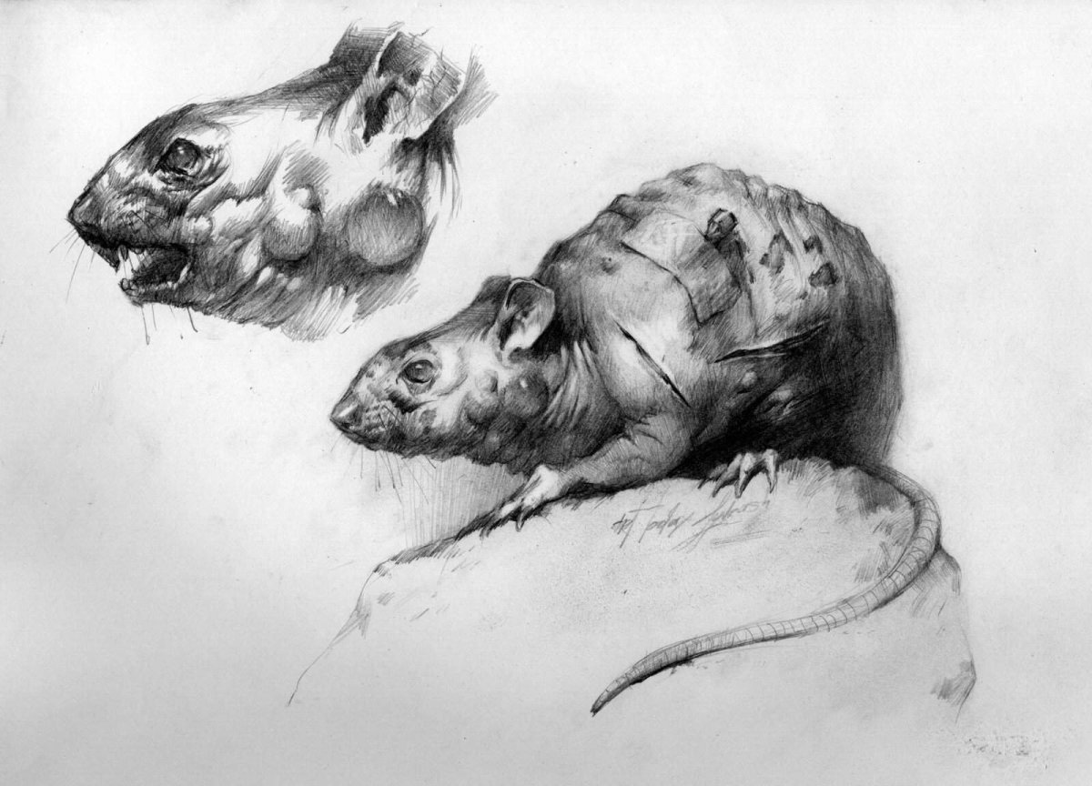 Сталкер МУТАНТ крысиный волк