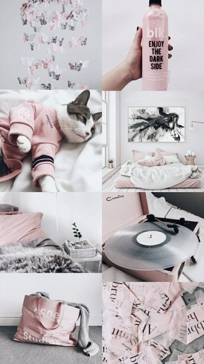 Коллаж Эстетика с котами