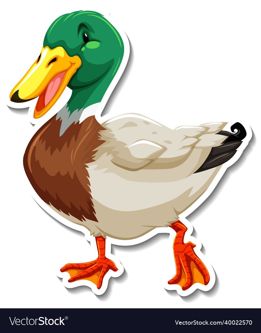 Утка для детей на прозрачном фоне