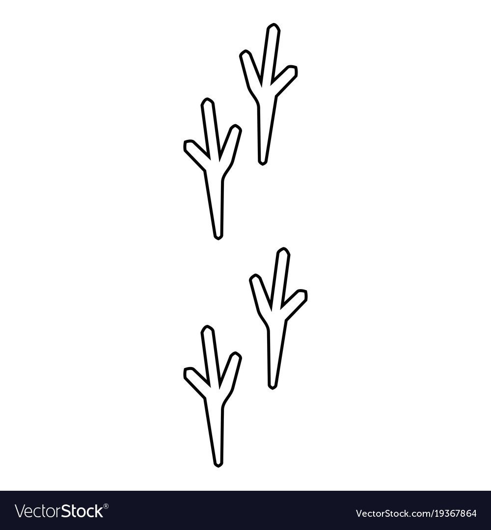 Лапка птицы след