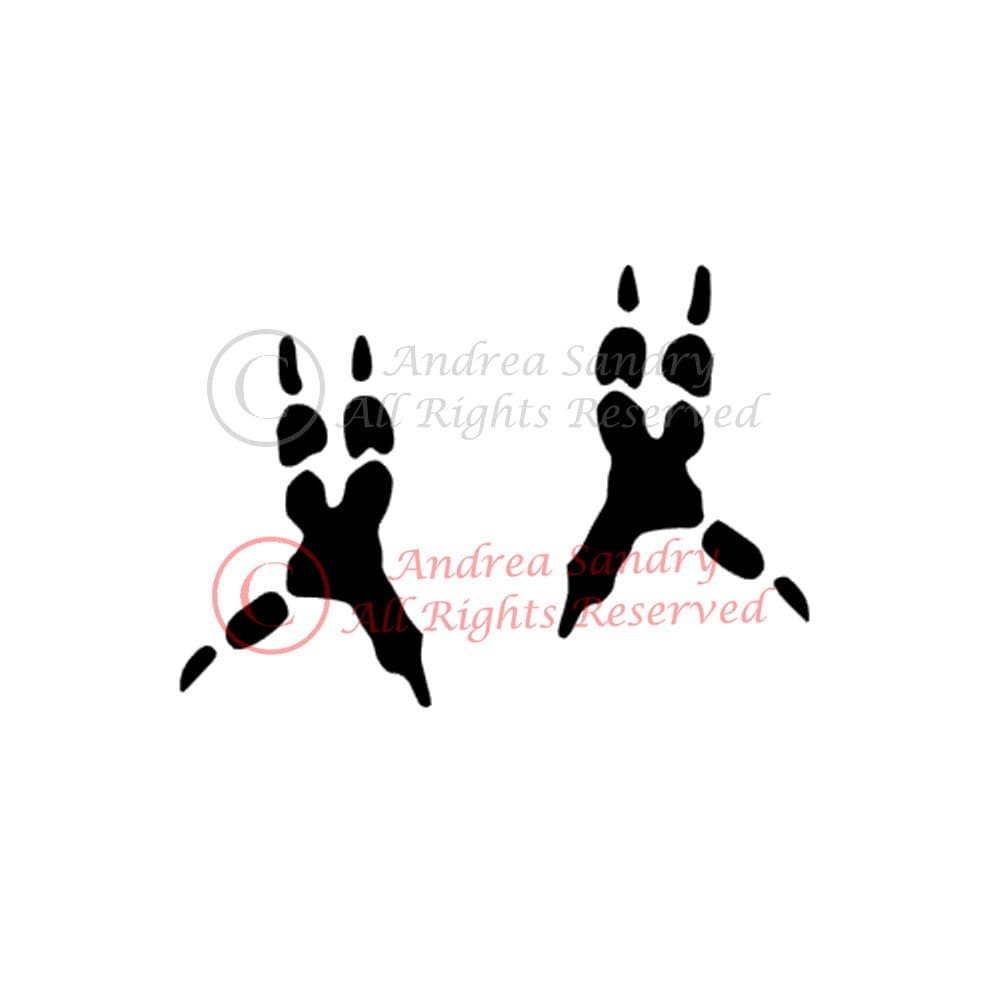 Отпечаток лапки волнистого попугая