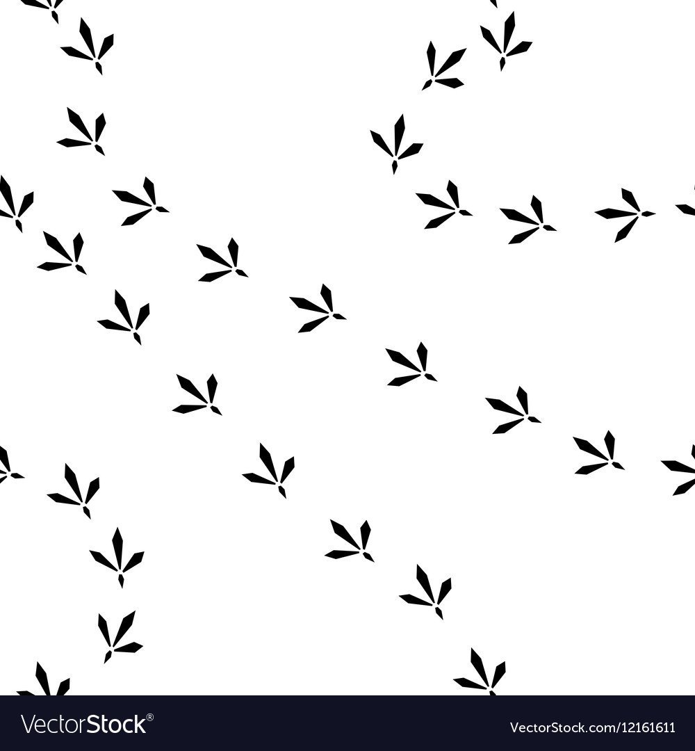 Птичьи следы