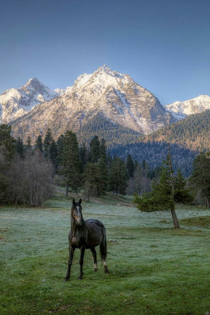 Поляна Таулу Архыз