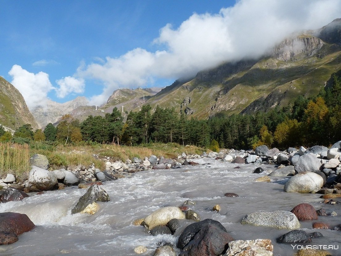 Животные кабардино балкарии