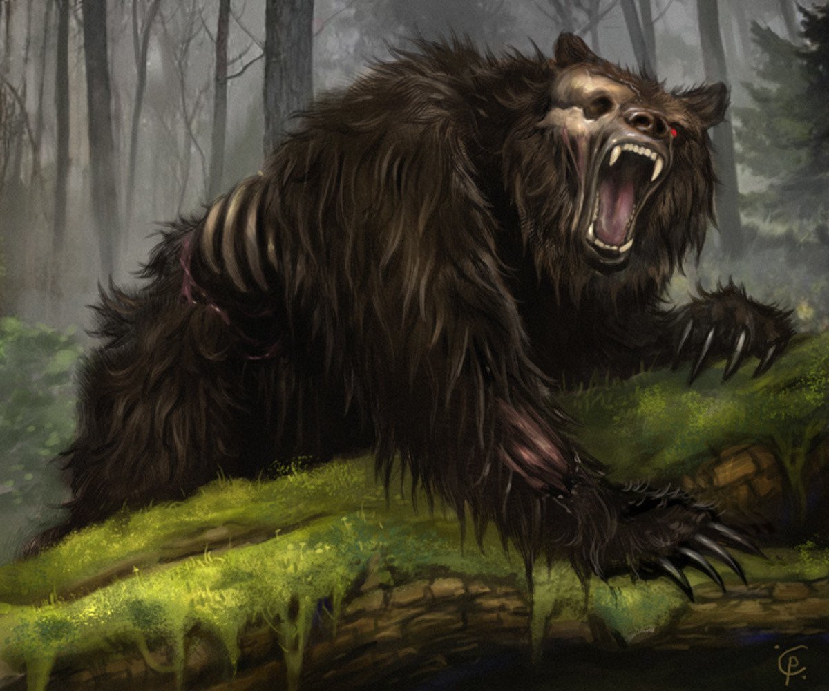 Злые медведи фэнтези