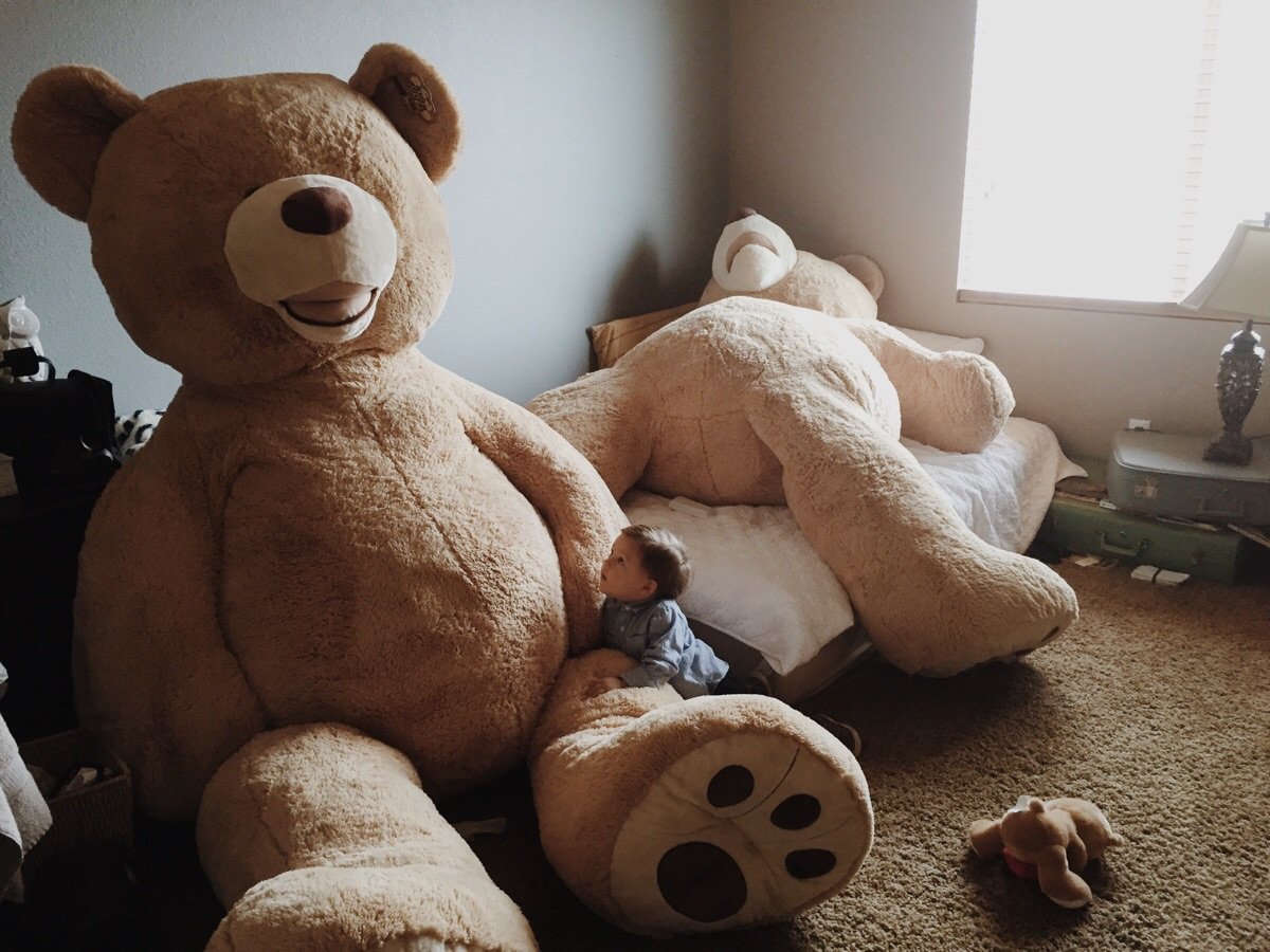 Большие мишки