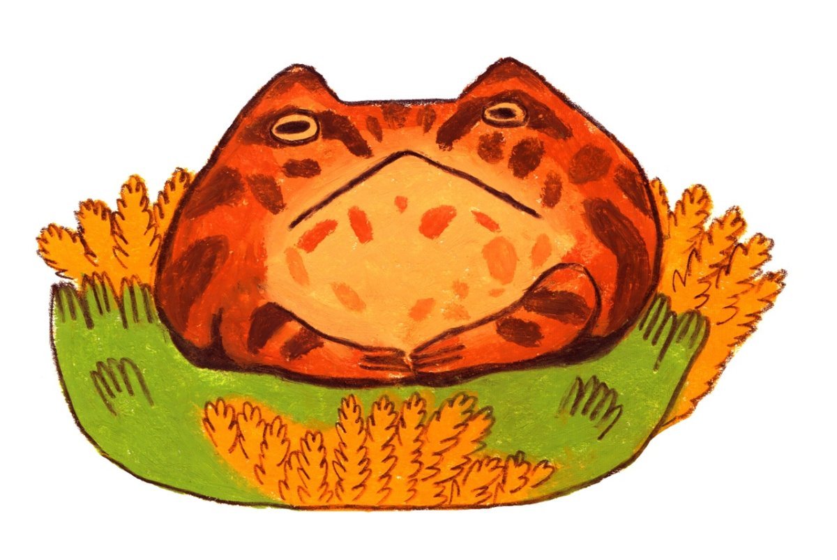 Жабка рисунок