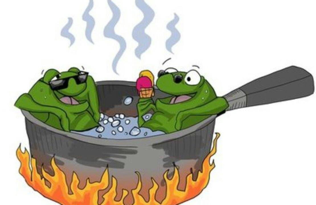 Жаба в кастрюле