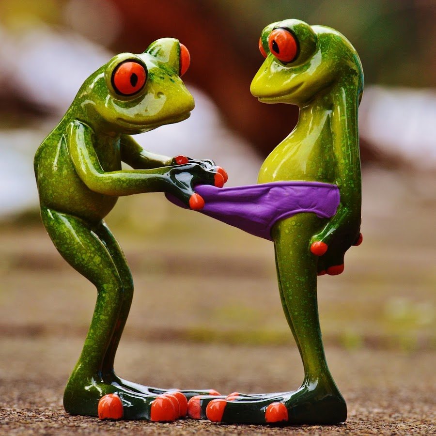 Лягушка прикол