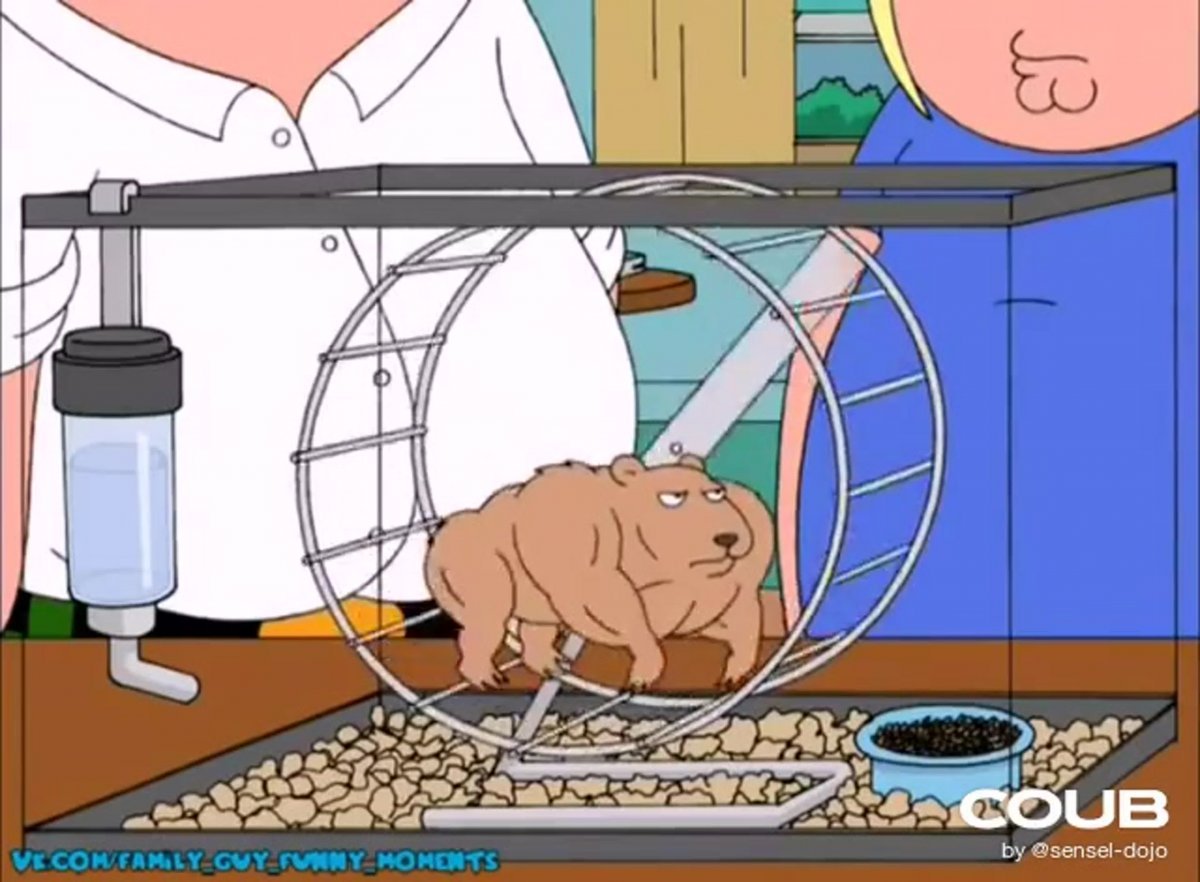 Хомяк Гриффины