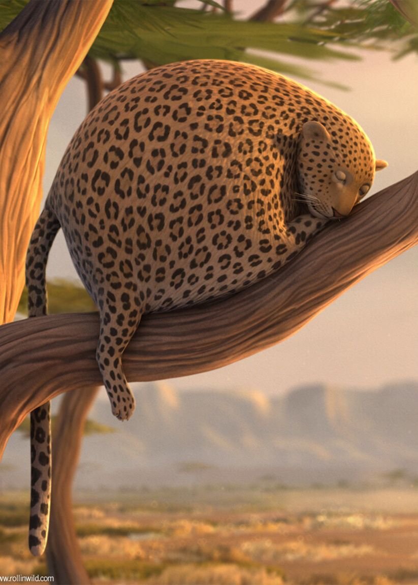 Мульт круглые животные