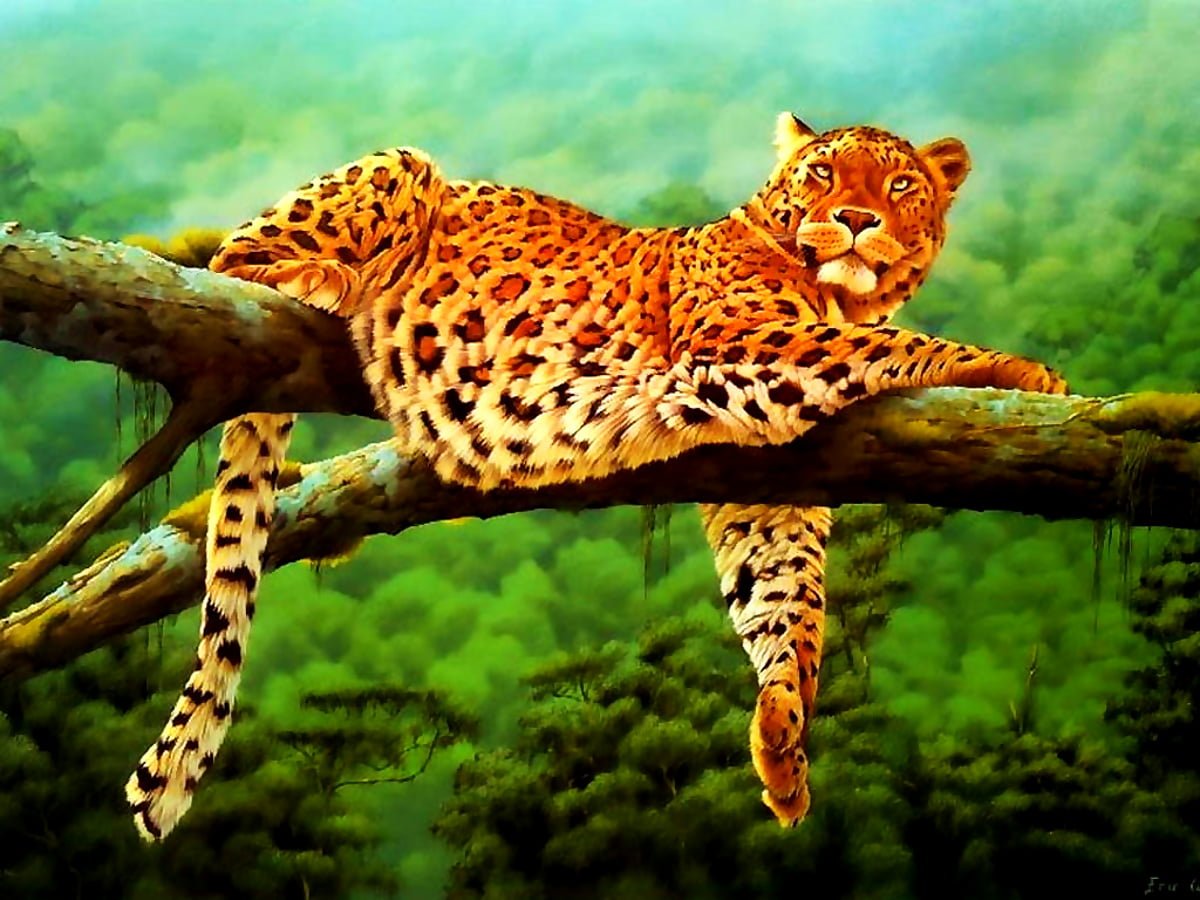 Гепард на ветке