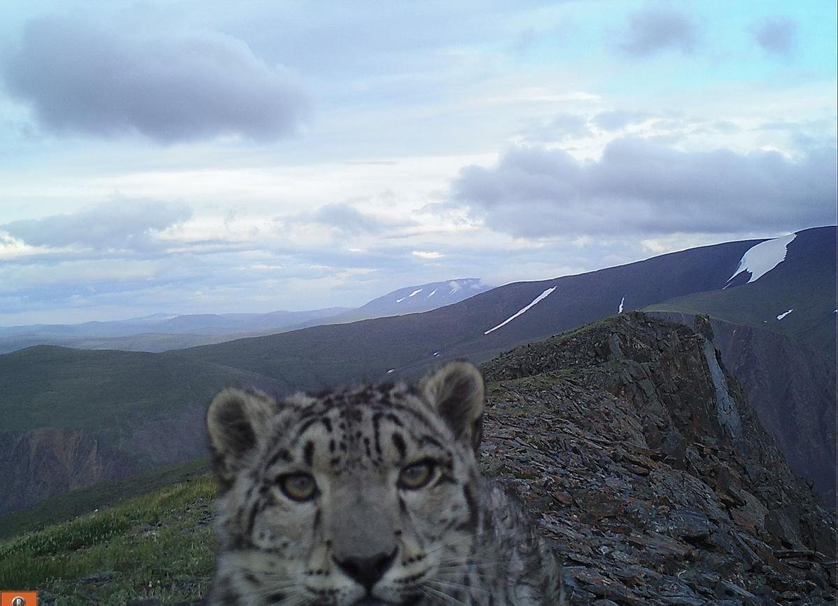 Сайлюгемский национальный парк Барс