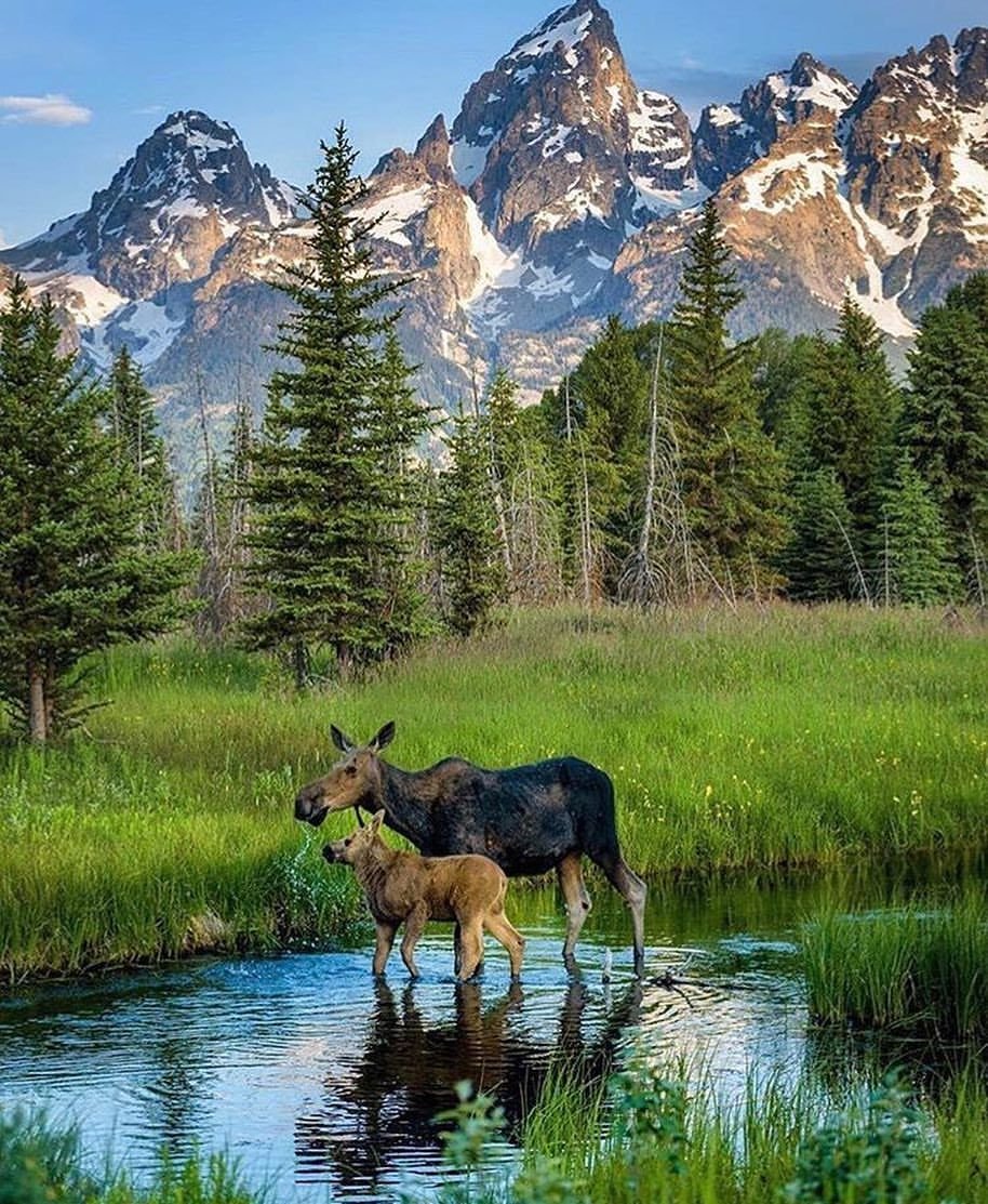 Национальный парк Вайоминг