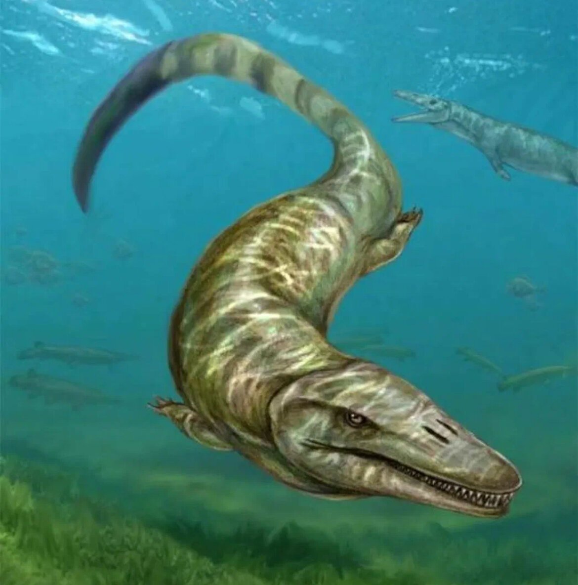 Мезозавр Зденек Буриан