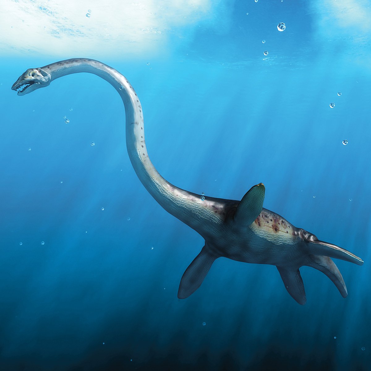 Морские ящеры