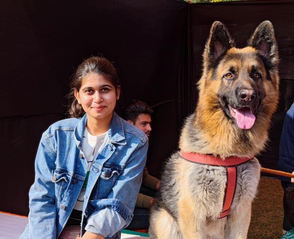 Пакистан овчарка