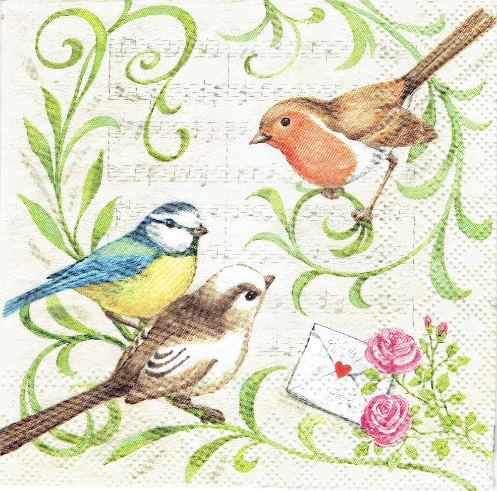 Сьюзен Вингет птицы иллюстрации