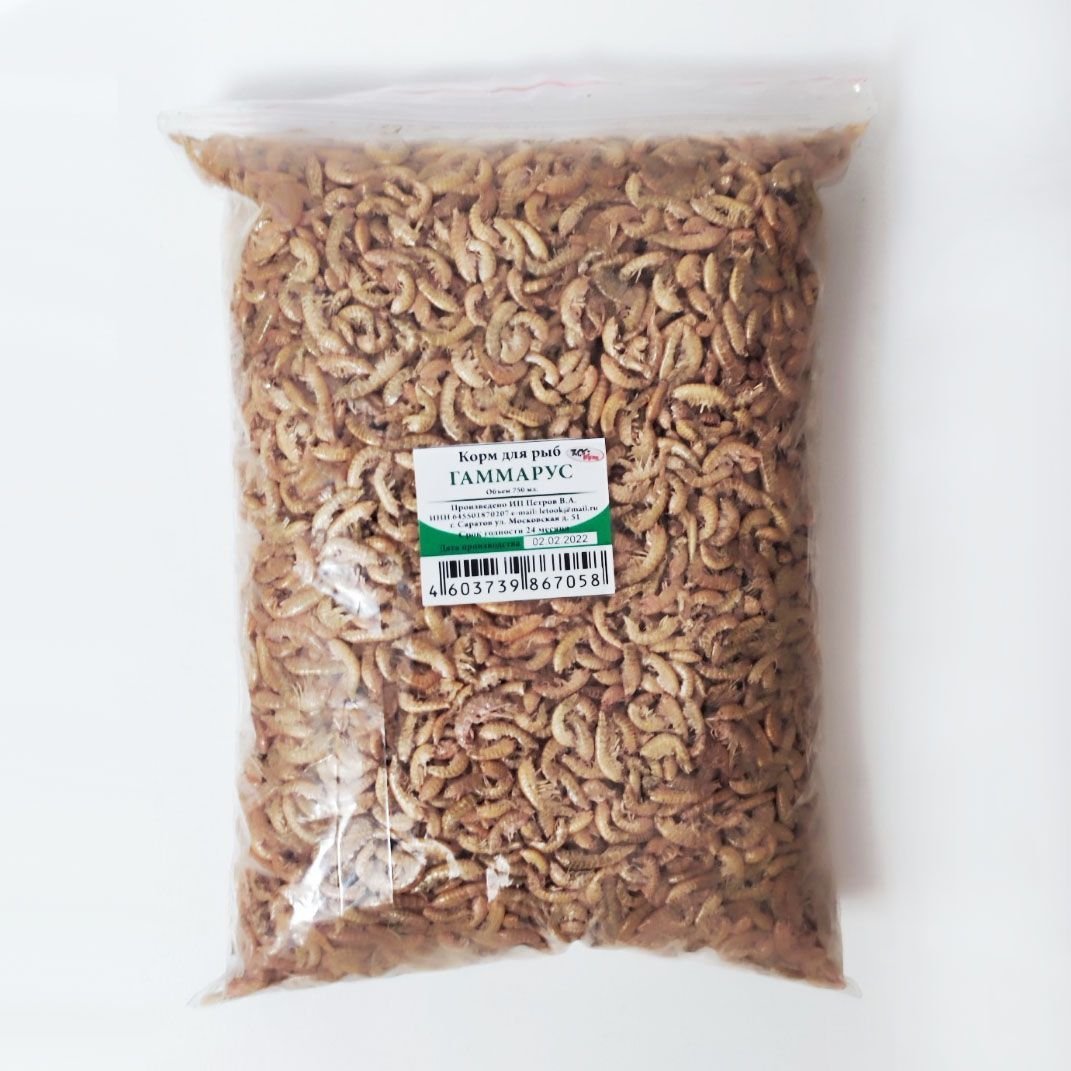 Байкальский гаммарус