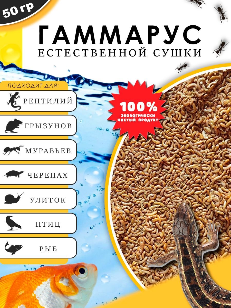 Гаммарусом из чего изготавливают