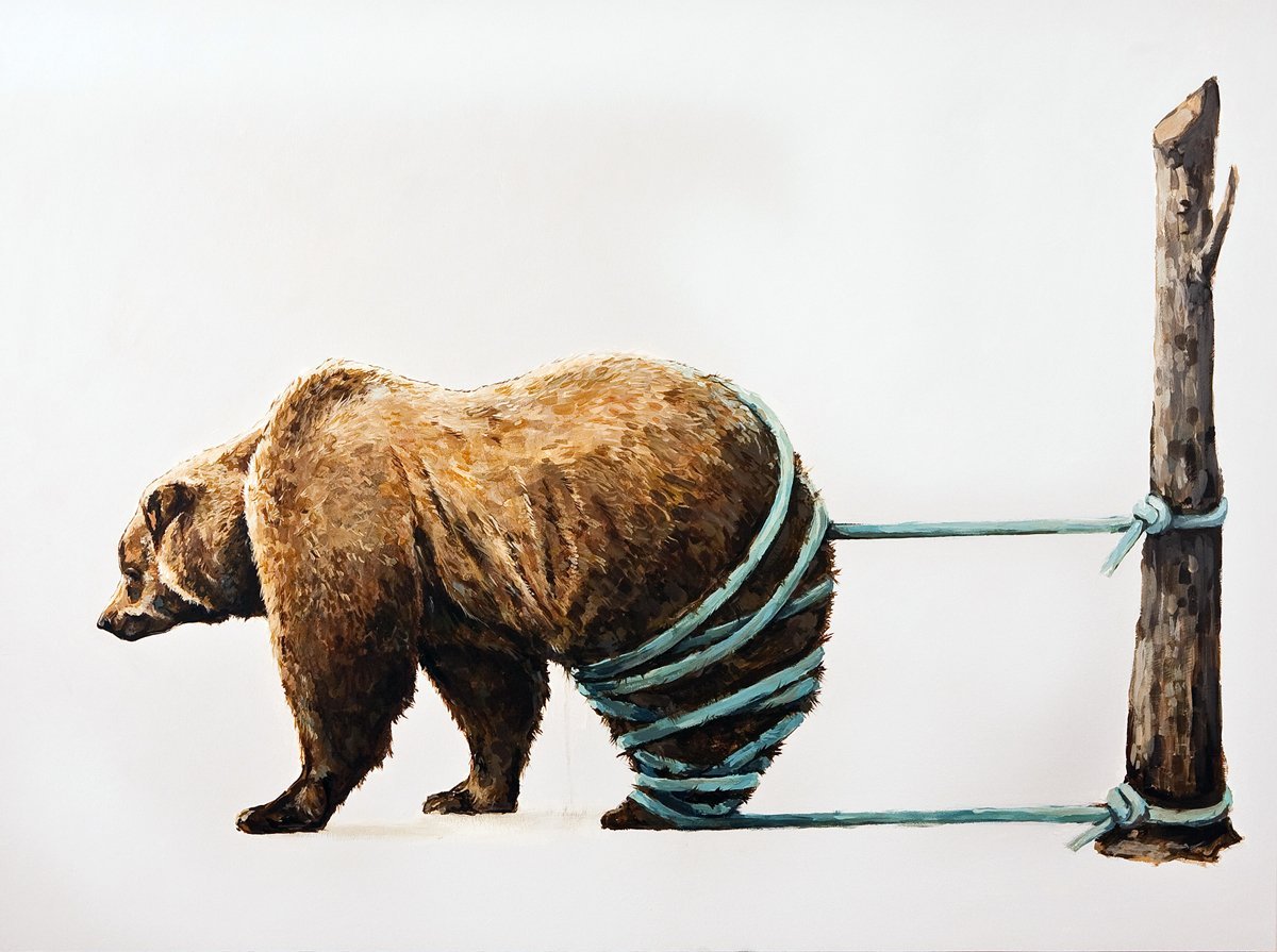 Arctotherium bonariense