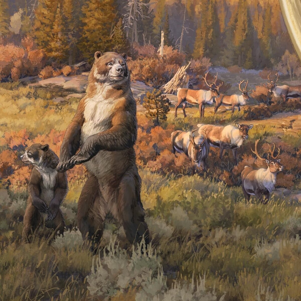 Арктодус Симус медведь