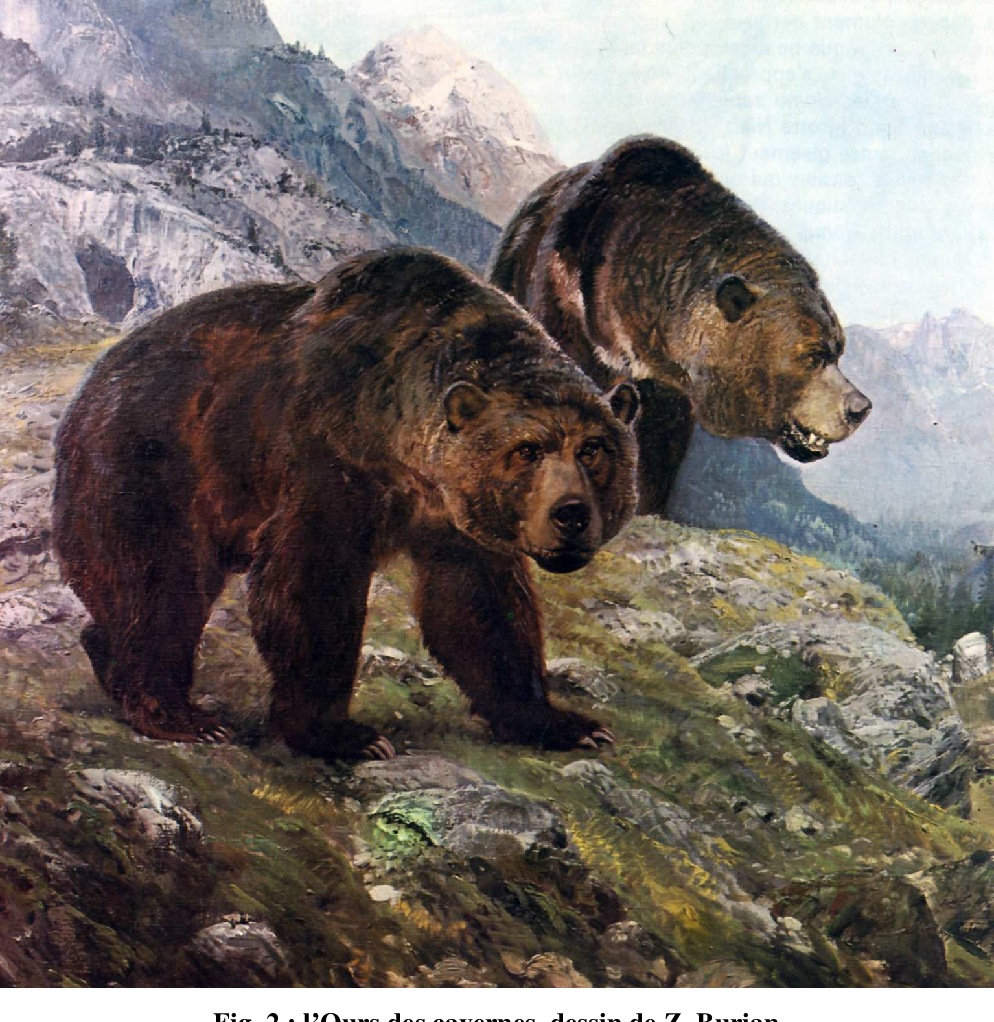 Зденек Буриан медведь