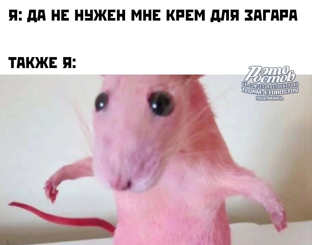 Розовая крыса