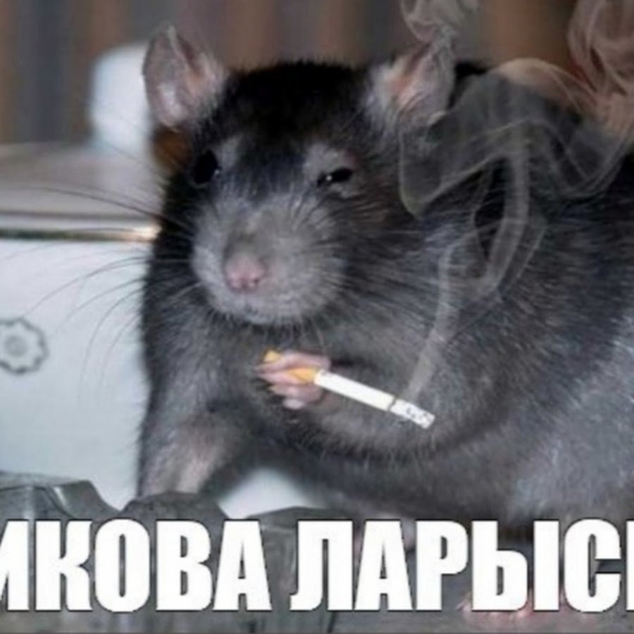 Смешная мышь