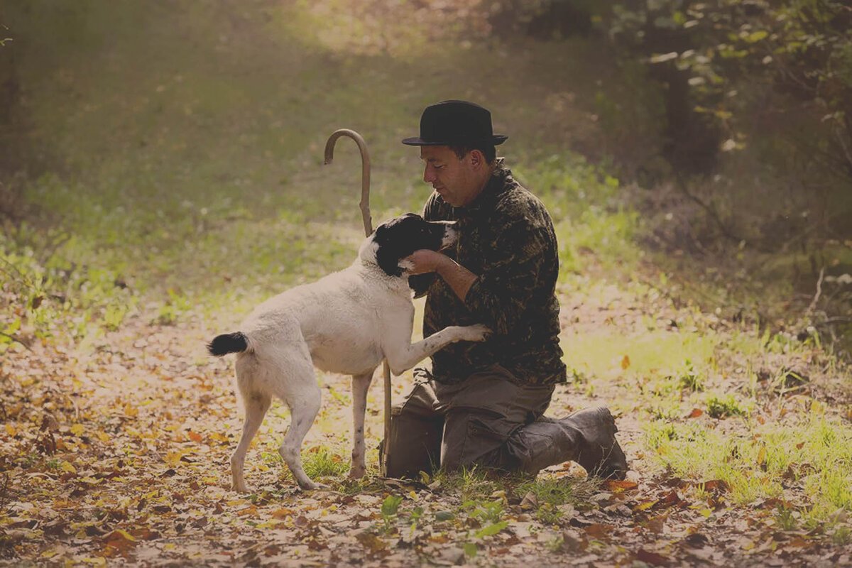 Охота на белый трюфель