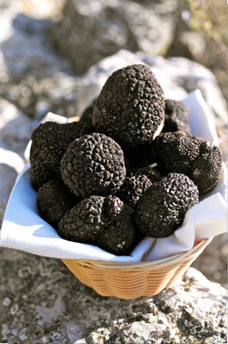 Перигорский трюфель