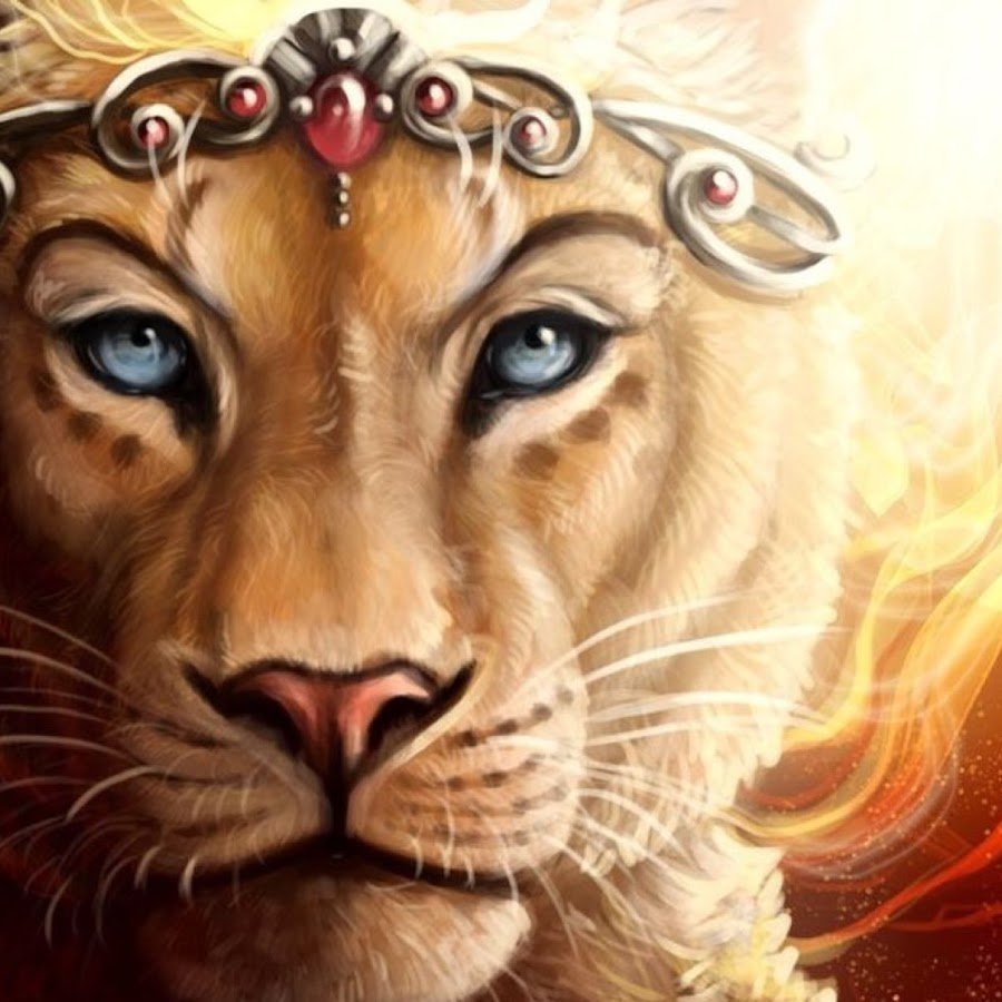 Львица красивая женщина