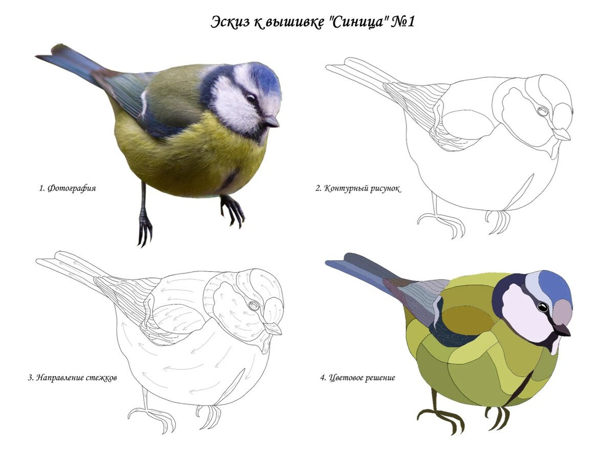 День птиц конкурс рисунок синичек